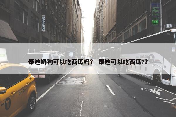 泰迪奶狗可以吃西瓜吗？ 泰迪可以吃西瓜?？