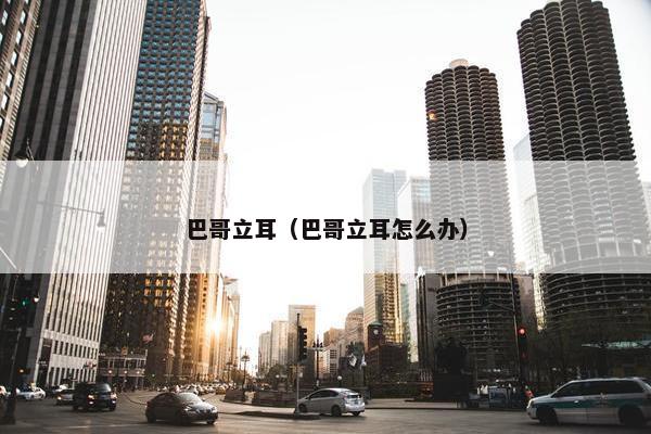 巴哥立耳（巴哥立耳怎么办）