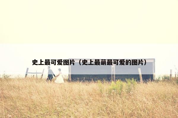 史上最可爱图片（史上最萌最可爱的图片）