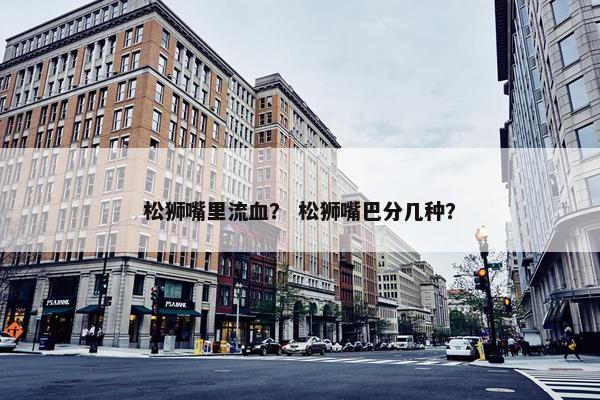松狮嘴里流血？ 松狮嘴巴分几种？