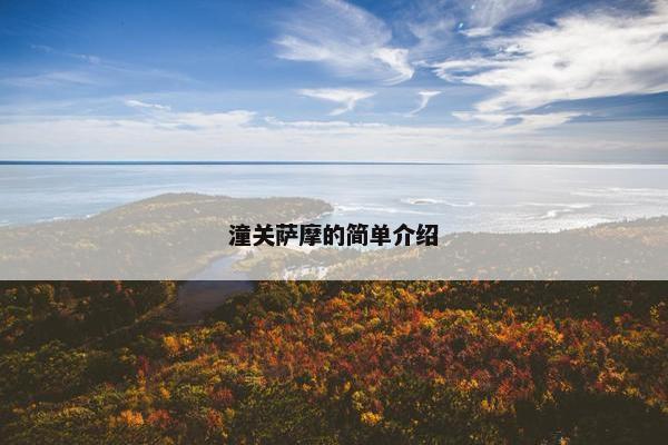潼关萨摩的简单介绍