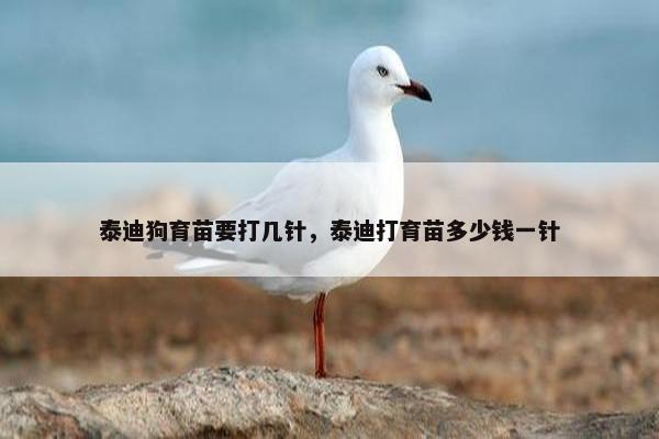泰迪狗育苗要打几针，泰迪打育苗多少钱一针