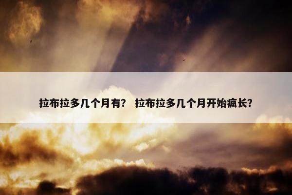拉布拉多几个月有？ 拉布拉多几个月开始疯长？