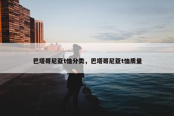 巴塔哥尼亚t恤分类，巴塔哥尼亚t恤质量