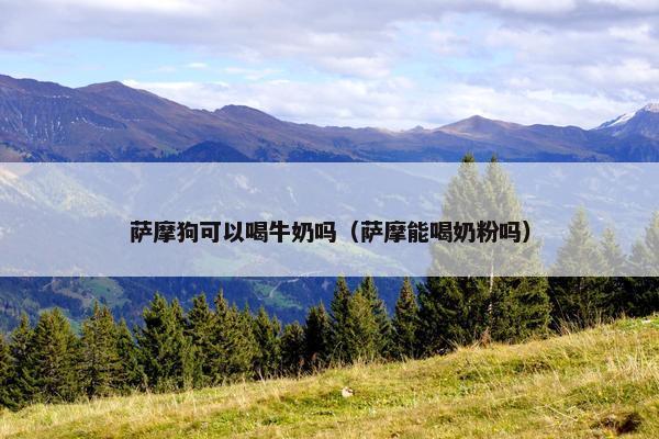 萨摩狗可以喝牛奶吗（萨摩能喝奶粉吗）