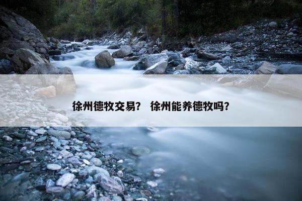徐州德牧交易？ 徐州能养德牧吗？