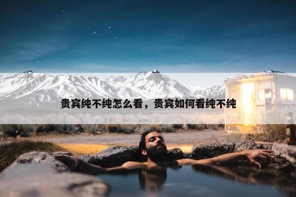 贵宾纯不纯怎么看，贵宾如何看纯不纯