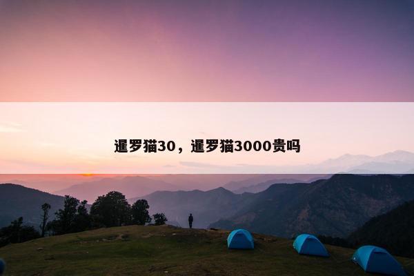 暹罗猫30，暹罗猫3000贵吗