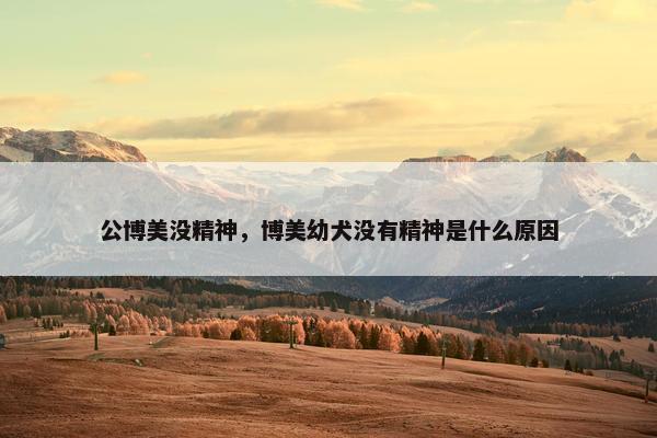 公博美没精神，博美幼犬没有精神是什么原因