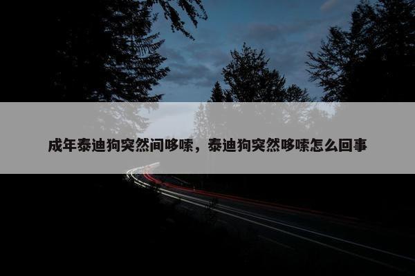 成年泰迪狗突然间哆嗦，泰迪狗突然哆嗦怎么回事