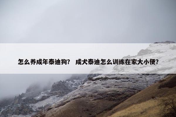 怎么养成年泰迪狗？ 成犬泰迪怎么训练在家大小便？