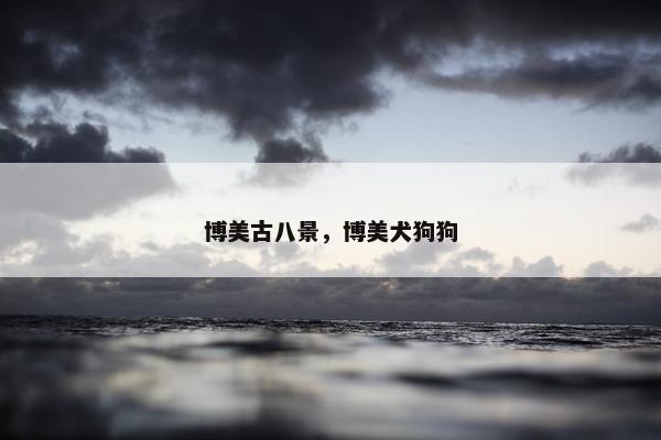 博美古八景，博美犬狗狗