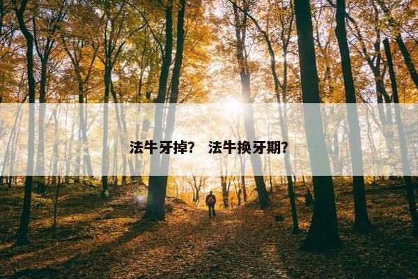 法牛牙掉？ 法牛换牙期？
