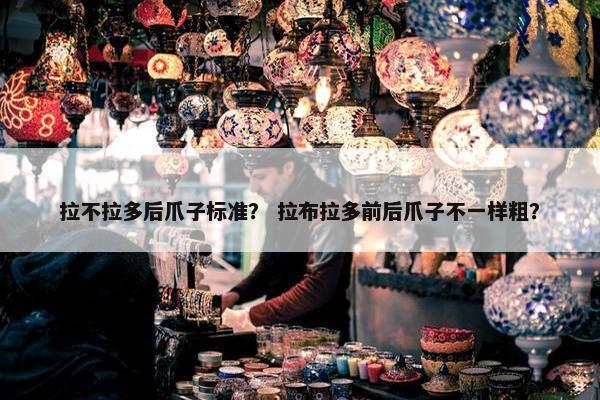 拉不拉多后爪子标准？ 拉布拉多前后爪子不一样粗？