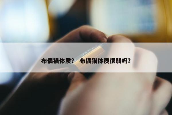 布偶猫体质？ 布偶猫体质很弱吗？