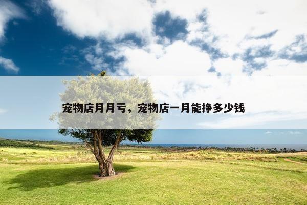 宠物店月月亏，宠物店一月能挣多少钱