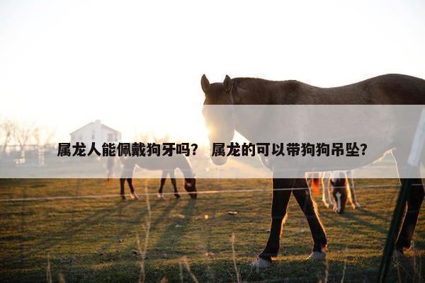 属龙人能佩戴狗牙吗？ 属龙的可以带狗狗吊坠？