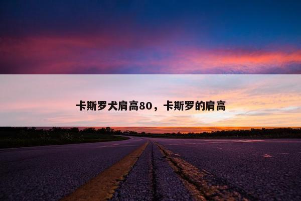卡斯罗犬肩高80，卡斯罗的肩高