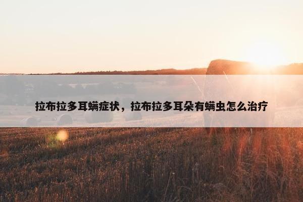 拉布拉多耳螨症状，拉布拉多耳朵有螨虫怎么治疗