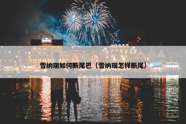 雪纳瑞如何断尾巴（雪纳瑞怎样断尾）