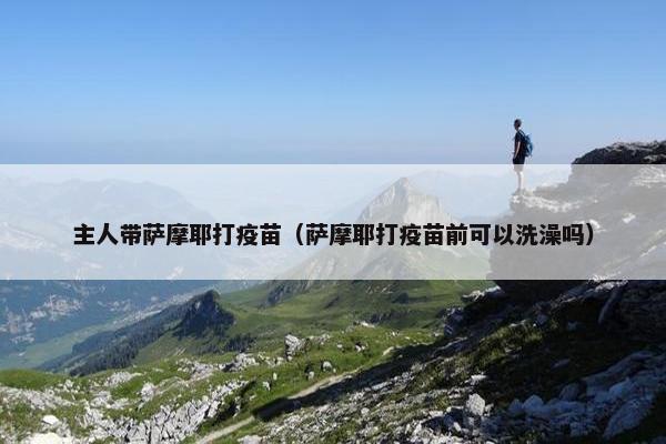 主人带萨摩耶打疫苗（萨摩耶打疫苗前可以洗澡吗）