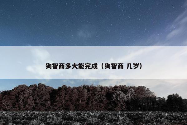 狗智商多大能完成（狗智商 几岁）