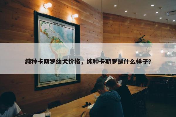 纯种卡斯罗幼犬价格，纯种卡斯罗是什么样子?