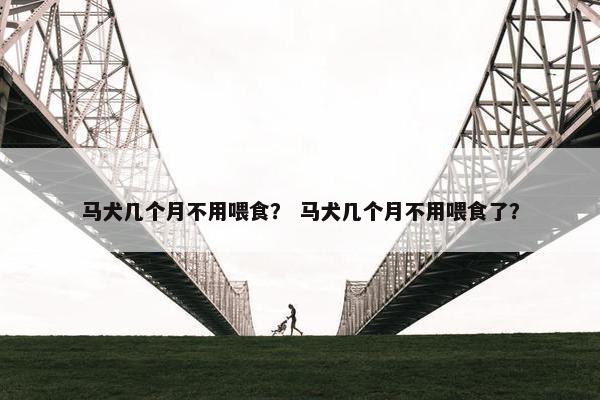 马犬几个月不用喂食？ 马犬几个月不用喂食了？