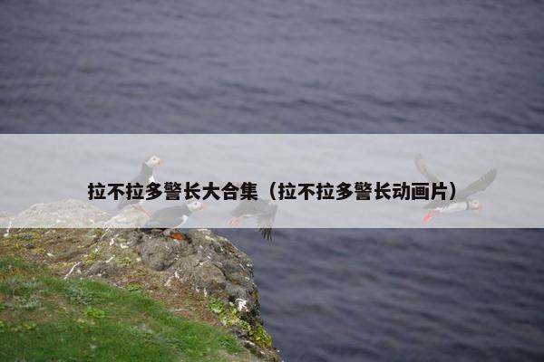 拉不拉多警长大合集（拉不拉多警长动画片）