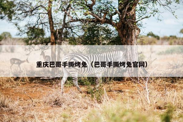 重庆巴哥手撕烤兔（巴哥手撕烤兔官网）