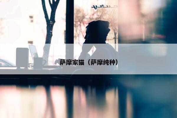 萨摩家猫（萨摩纯种）