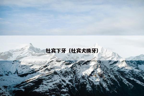 杜宾下牙（杜宾犬换牙）