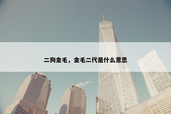 二狗金毛，金毛二代是什么意思