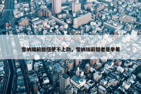 雪纳瑞前腿扭使不上劲，雪纳瑞前腿老是举着