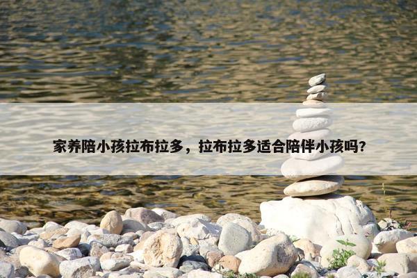 家养陪小孩拉布拉多，拉布拉多适合陪伴小孩吗?