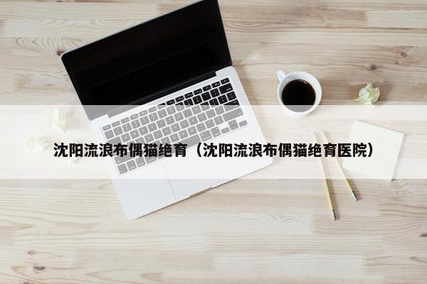 沈阳流浪布偶猫绝育（沈阳流浪布偶猫绝育医院）