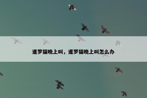 暹罗猫晚上叫，暹罗猫晚上叫怎么办