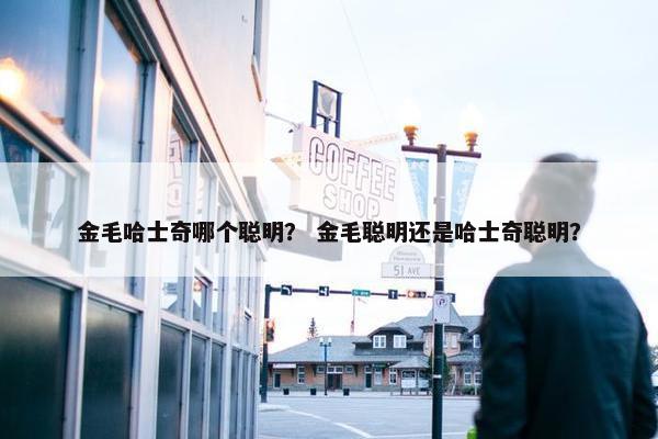 金毛哈士奇哪个聪明？ 金毛聪明还是哈士奇聪明？