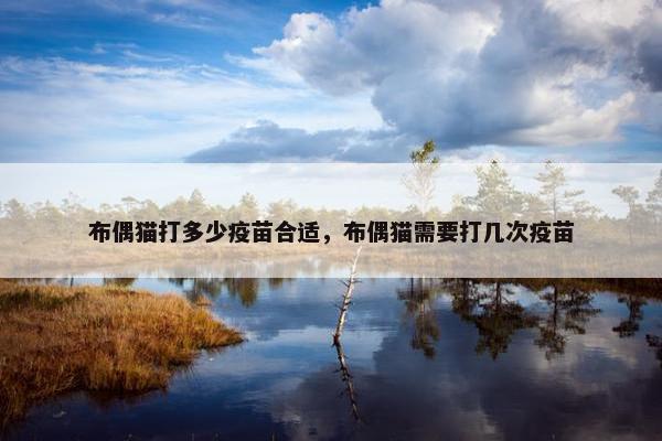 布偶猫打多少疫苗合适，布偶猫需要打几次疫苗