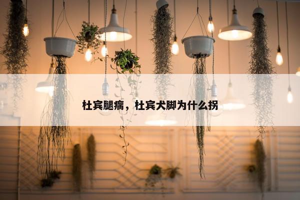 杜宾腿瘸，杜宾犬脚为什么拐