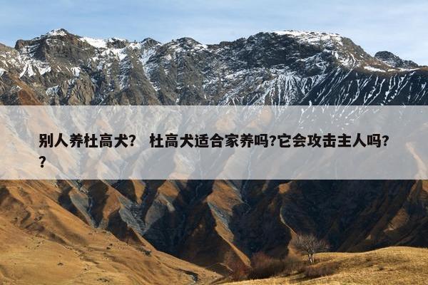 别人养杜高犬？ 杜高犬适合家养吗?它会攻击主人吗?？