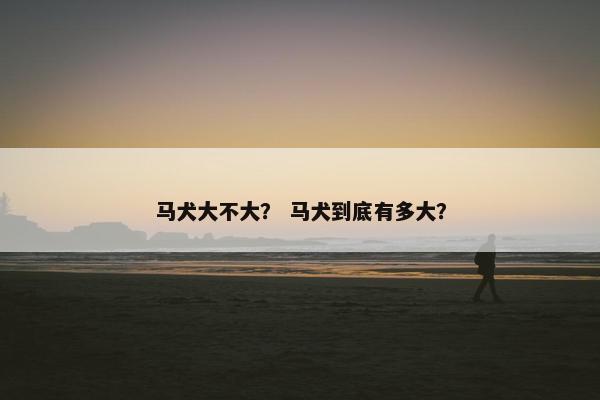 马犬大不大？ 马犬到底有多大？