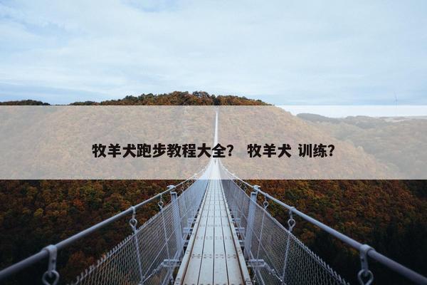 牧羊犬跑步教程大全？ 牧羊犬 训练？