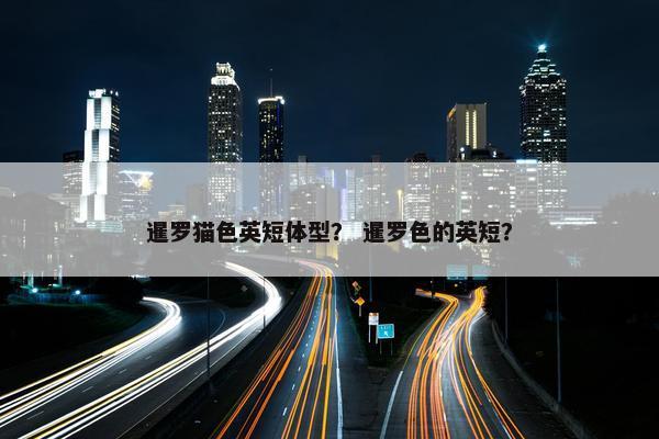 暹罗猫色英短体型？ 暹罗色的英短？