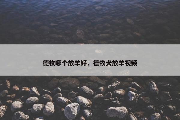 德牧哪个放羊好，德牧犬放羊视频