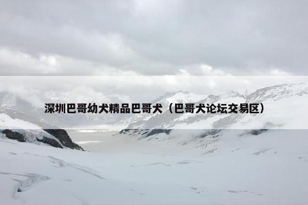 深圳巴哥幼犬精品巴哥犬（巴哥犬论坛交易区）