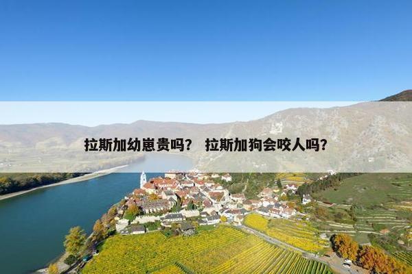 拉斯加幼崽贵吗？ 拉斯加狗会咬人吗？