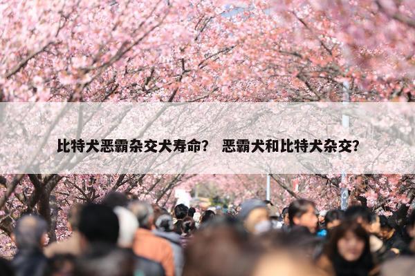 比特犬恶霸杂交犬寿命？ 恶霸犬和比特犬杂交？