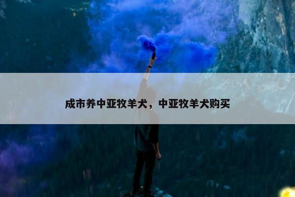 成市养中亚牧羊犬，中亚牧羊犬购买