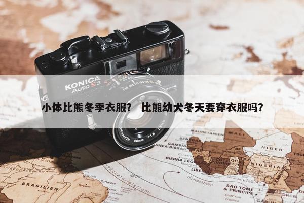 小体比熊冬季衣服？ 比熊幼犬冬天要穿衣服吗？